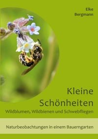 Produktbild: Kleine Sch&ouml;nheiten - Wildblumen, Wildbienen und Schwebfliegen