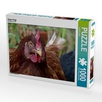 Produktbild: CALVENDO Puzzle Aug in Aug | 1000 Teile Lege-Gr&ouml;&szlig;e 64x48cm Foto-Puzzle f&uuml;r gl&uuml;ckliche Stunden
