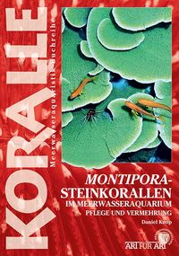 Produktbild: Montipora-Steinkorallen im Meerwasseraquarium