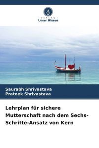Produktbild: Lehrplan f&uuml;r sichere Mutterschaft nach dem Sechs-Schritte-Ansatz von Kern
