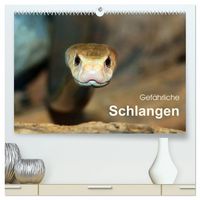 Produktbild: Gef&auml;hrliche Schlangen (hochwertiger Premium Wandkalender 2027 DIN A2 quer), Kunstdruck in Hochglanz