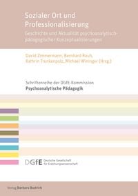 Produktbild: Sozialer Ort und Professionalisierung