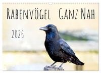 Produktbild: Rabenv&ouml;gel - ganz nah (Wandkalender 2026 DIN A3 quer), CALVENDO Monatskalender