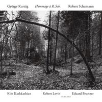 Bild vom Artikel Kashkashian/Brunner/Levin: Hommage A Robert Schumann vom Autor Kashkashian