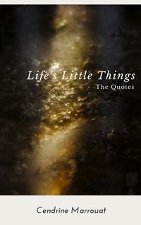 Produktbild: Life's Little Things: The Quotes