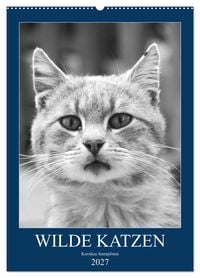 Produktbild: Wilde Katzen - Korsikas Samtpfoten (Wandkalender 2027 DIN A2 hoch), CALVENDO Monatskalender