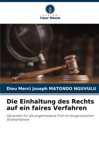 Produktbild: Die Einhaltung des Rechts auf ein faires Verfahren