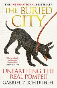 Produktbild: The Buried City
