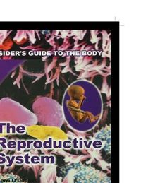 Produktbild: The Reproductive System