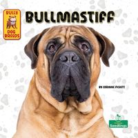 Produktbild: Bullmastiff