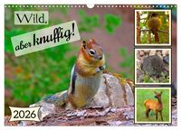 Produktbild: Wild, aber knuffig! (Wandkalender 2026 DIN A3 quer), CALVENDO Monatskalender