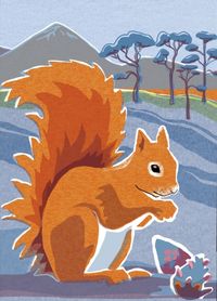 Produktbild: Nature Notebook: Red Squirrel