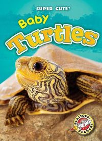 Produktbild: Baby Turtles