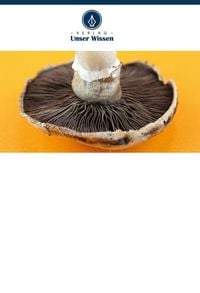 Produktbild: Pilz