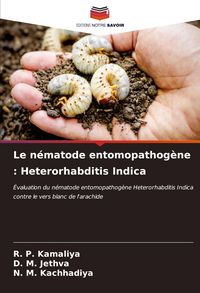 Produktbild: Le n&eacute;matode entomopathog&egrave;ne : Heterorhabditis Indica
