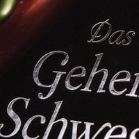 Disney. Villains 6: Das Geheimnis der Schwestern