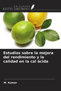 Produktbild: Estudios sobre la mejora del rendimiento y la calidad en la cal &aacute;cida