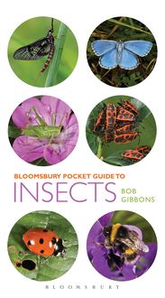 Produktbild: Pocket Guide to Insects