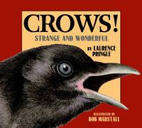 Produktbild: Crows!
