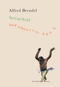 Produktbild: Spiegelbild und schwarzer Spuk