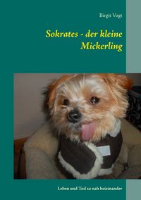 Produktbild: Sokrates - der kleine Mickerling