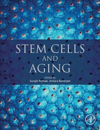 Produktbild: Stem Cells and Aging
