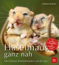 Produktbild: Haselmaus ganz nah