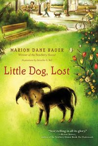 Produktbild: Little Dog, Lost