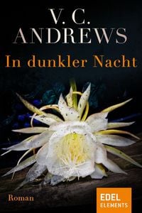 Produktbild: In dunkler Nacht