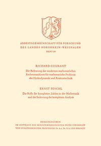 Produktbild: Die Bedeutung der Modernen Mathematischen Rechenmaschinen f&uuml;r mathematische Probleme der Hydrodynamik und Reaktortechnik. Die Rolle der komplexen Zahl