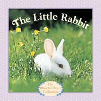 Produktbild: The Little Rabbit