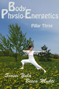 Produktbild: Body Physio-Energetics: Pillar Three
