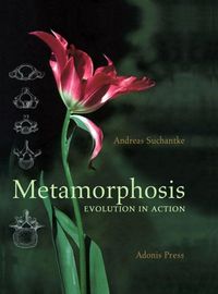 Produktbild: Metamorphosis