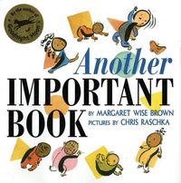Produktbild: Another Important Book
