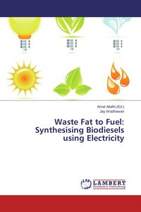 Produktbild: Waste Fat to Fuel: Synthesising Biodiesels using Electricity