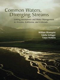 Produktbild: Common Waters, Diverging Streams