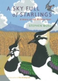 Produktbild: Sky Full of Starlings