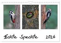 Produktbild: Echte Spechte (Wandkalender 2026 DIN A4 quer), CALVENDO Monatskalender