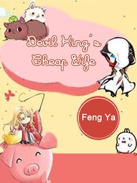 Produktbild: Devil King's Cheap Wife