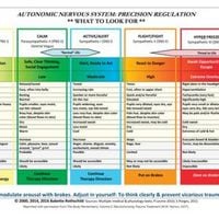 Produktbild: Autonomic Nervous System Table: Laminated Card