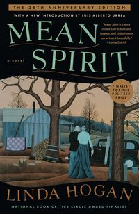 Produktbild: Mean Spirit