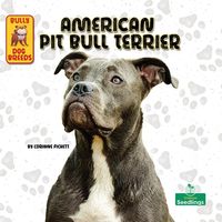 Produktbild: American Pit Bull Terrier