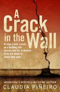 Bild vom Artikel A Crack in the Wall vom Autor Claudia Pineiro