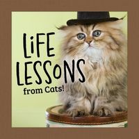 Produktbild: Life Lessons from Cats!