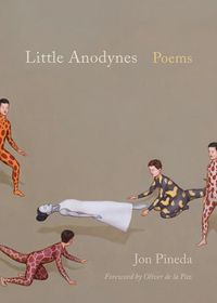 Bild vom Artikel Little Anodynes: Poems vom Autor Jon Pineda