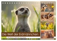 Produktbild: Die Welt der Erdm&auml;nnchen (Tischkalender 2027 DIN A5 quer), CALVENDO Monatskalender