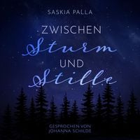 Produktbild: Zwischen Sturm und Stille