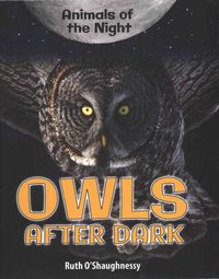 Produktbild: Owls After Dark