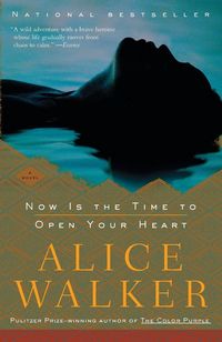 Produktbild: Now Is the Time to Open Your Heart