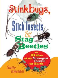 Produktbild: Stink Bugs, Stick Insects, and Stag Beetles